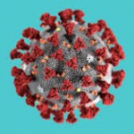 Bild Corona-Virus